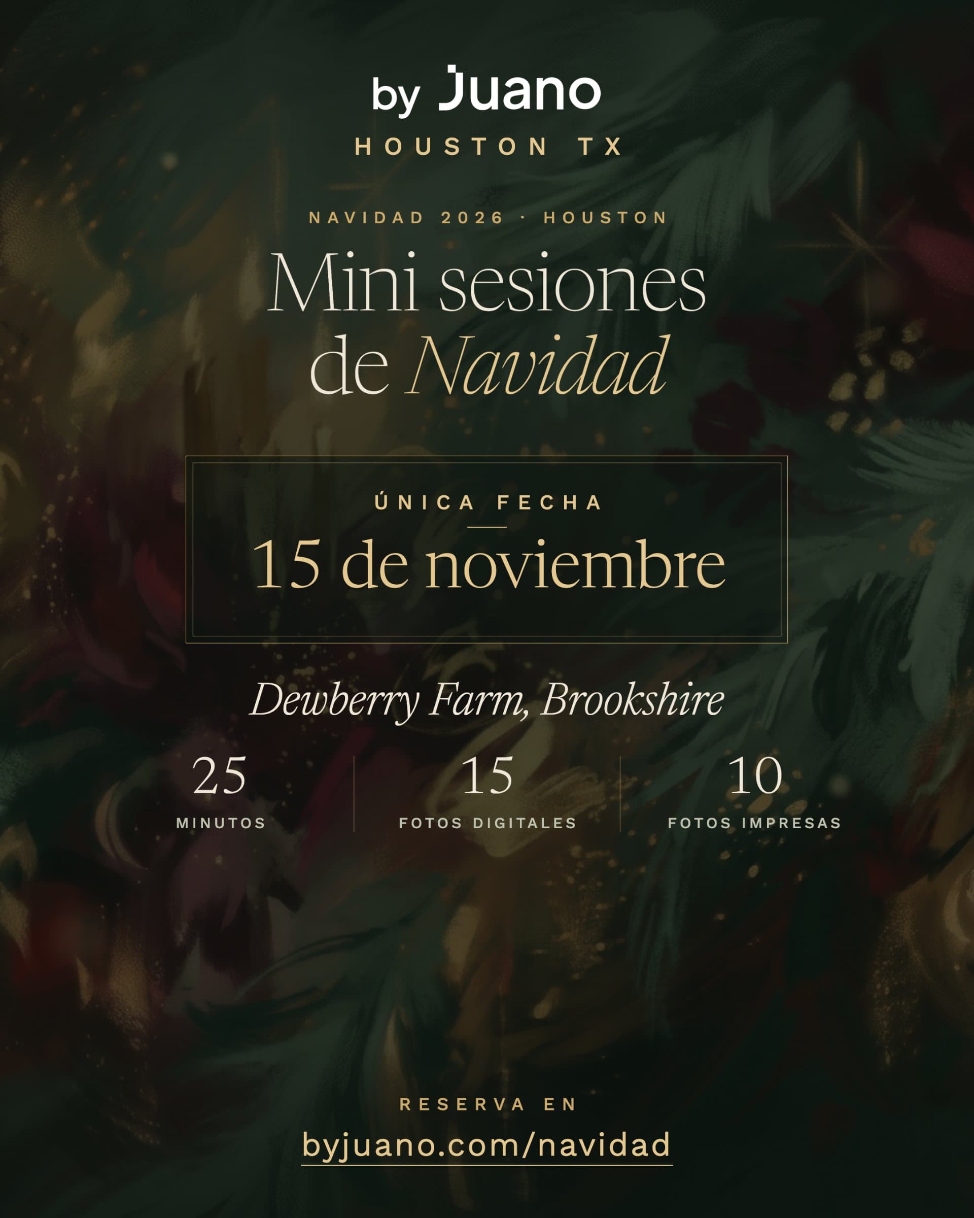 fotos de navidad Houston